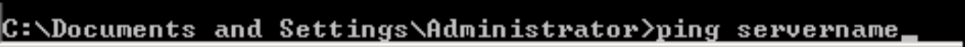 This shows the command window and the path you need to write to ping your server