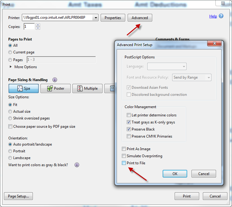 Adobe Print To File Option