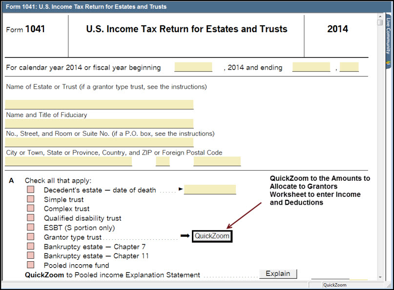 Entering Income And Deductions Allocated To 1041 Grantor Trust R ...